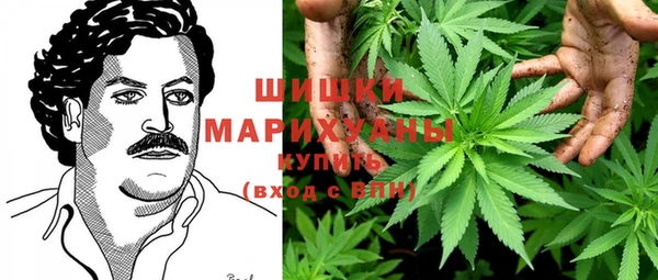спайс Арсеньев